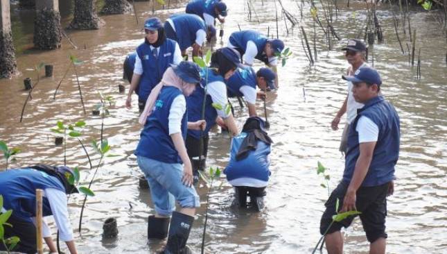 Lanjutkan Pelestarian Pantai Bahak Probolinggo, SIG Ajak 10 Relawan Bakti BUMN 2026 Perkuat Ekosistem Pesisir