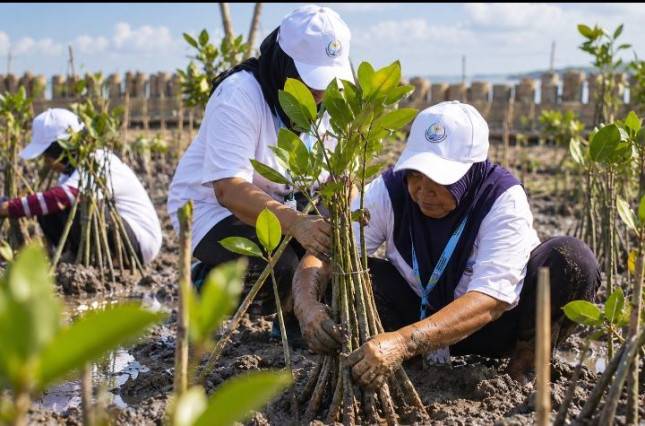 BRI Peduli Tanam 30 Ribu Mangrove di Demak untuk Cegah Abrasi Pantura