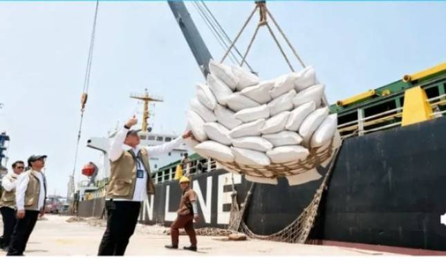Pasok Peternak Mikro Jawa, BULOG Mobilisasi Puluhan Ribu Ton Jagung
