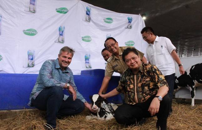 Bangun Peternakan Sapi Perah, PT Grieenfields Tingkatkan Produksi Susu Dalam Negeri