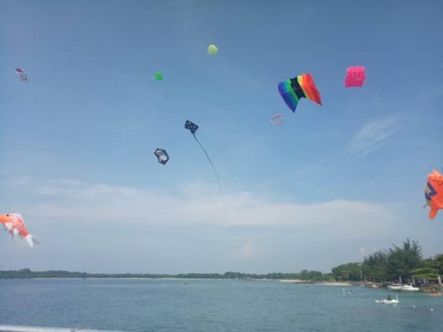 Lima Pelayang Dari Luar Negeri Ikut Serta Meriahkan Rhino Kites Festival Tanjung Lesung