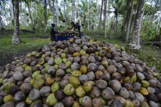 Industri 4.0 Pacu Daya Saing Industri Hasil Perkebunan