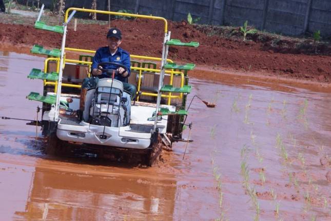 PDB Sektor Pertanian Terus Membaik