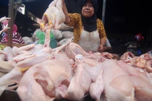Harga Ayam di Peternak Turun Jadi Tugas Siapa?