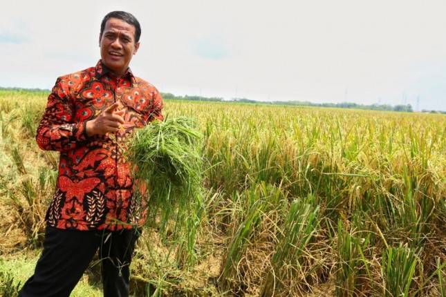 Mentan Amran Pastikan Banjir Sumatera Tak Goyahkan Ketahanan Pangan Nasional