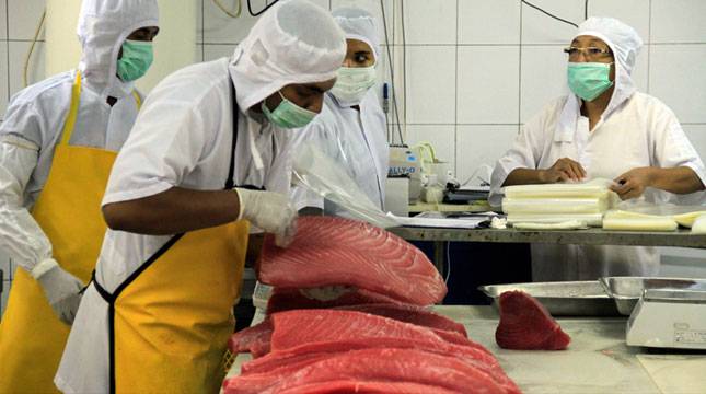 Genjot Bisnis Kawasan Hindia, Inilah Rekomendasi Kadin