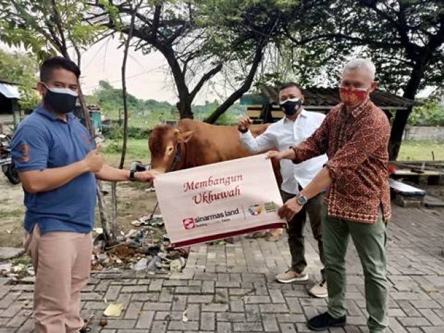 Yayasan Muslim Sinar Mas Land Sumbangkan 330  Hewan Kurban ke Sejumlah Masjid