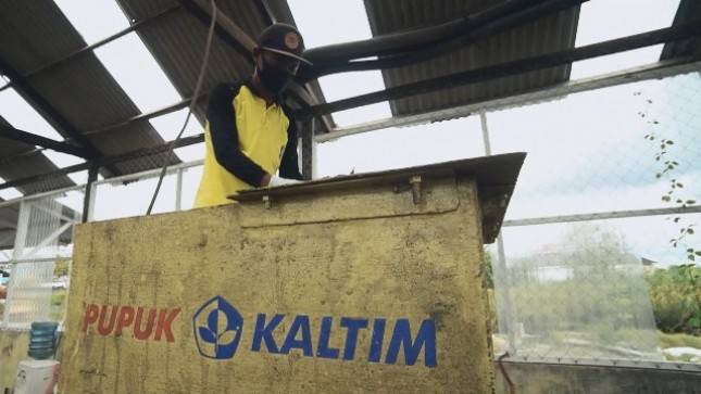 Pupuk Kaltim Persero Bekali Masyarakat Binaan dengan Pengolahan Dry Maggot