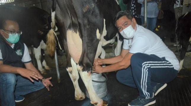 Kemenperin Siap Tingkatkan Rasio Penggunaan Susu Segar dari Peternak Lokal