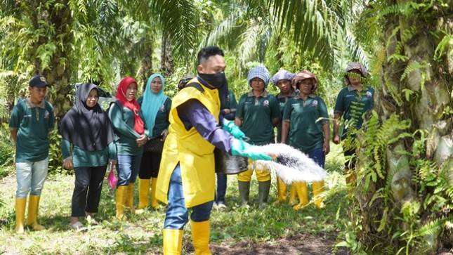 Musim Mas Bantu Petani Sawit Swadaya Indonesia Raih Rp 11 Miliar