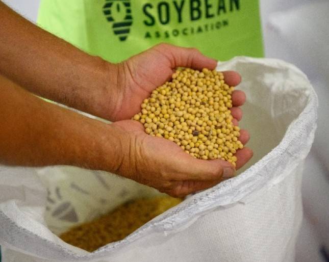 Turunkan Harga Kedelai, Mendag Zulhas Siap Lakukan Intervensi Khusus