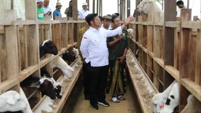 Mentan Ajak Peternakan di Bogor Penuhi Kebutuhan Daging Lokal