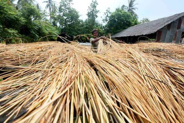 HIMKI: Terjadi Krisis Bahan Baku Rotan di Indonesia