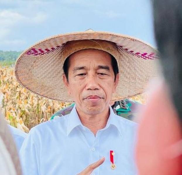 Indonesia Terbuka untuk Kerja Sama Hilirisasi dengan PNG