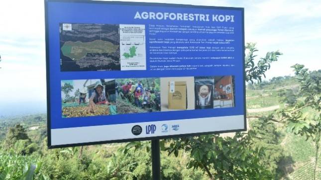 Berkat AQUA Klaten, Pemuda Desa Mriyan, Boyolali  Berhasil Kembangkan Kopi Gumuk 