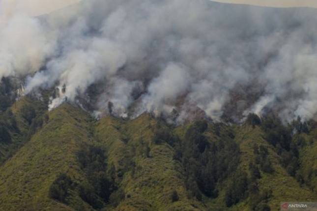 Pelaku Pembakaran Hutan Bromo Didenda Rp1,5 Miliar, BNPB: Masih Kurang Jika Dibandingkan dengan Biaya Operasional Heli Water Bombing