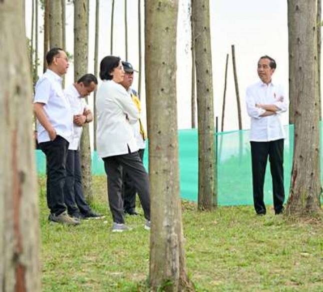 Pagi Hari di IKN, Presiden Tunjukkan Para Menteri Pemandangan IKN dari Atas Bukit
