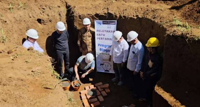 Frisian Flag Indonesia Dan PT Jawa Power Terapkan Peternakan Sapi Perah Ramah Lingkungan