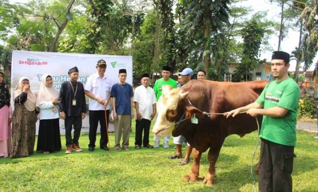 Zona Madina Dompet Dhuafa Distribusikan Daging Kurban Ke 1200 Penerima Manfaat