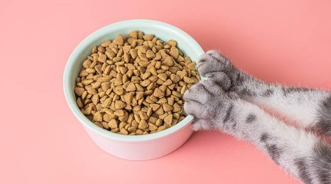MDLA Gandeng Compawnion Distribusikan Produk Makanan Hewan Berkualitas di RI