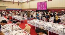 Modinity Warehouse Sale 2026 Dibanjiri Antusiasme, Tiket Ludes Kurang dari 24 Jam