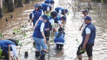Lanjutkan Pelestarian Pantai Bahak Probolinggo, SIG Ajak 10 Relawan Bakti BUMN 2026 Perkuat Ekosistem Pesisir