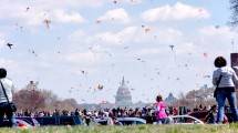 Rayakan Mekarnya Bunga Sakura, di Washington, D.C Gelar Festival Layang-Layang