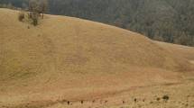 Para Pendaki ke Gunung Semeru (Foto: Forum Wartawan Pariwisata)
