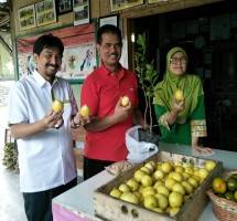 Direktur Jenderal Hortikultura, Kementerian Pertanian,Suwandi