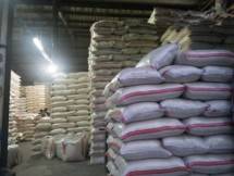 Stok Pangan Aman, Kementan Siap Intervensi jika Kurang