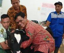Mahasiswa Polbangtan didorong jadi penyuluh pertanian