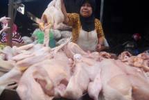 Harga Ayam di Peternak Turun Jadi Tugas Siapa?