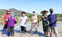 Kabupaten Sumbawa Barat Siap Gerakan Tanam Serentak