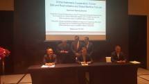 Industri RI-Tiongkok Sepakat Investasi US$ 1,36 M di Morowali Industrial Park
