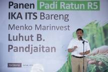 Menko Marvest Luhut B. Pandjaitan Ingin Formula R5 IKA ITS Digunakan di Lahan Food Estate di Kalteng
