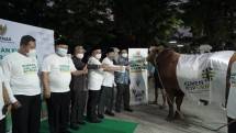 KemenKopUKM serahkan hewan kurban melalui Baznas