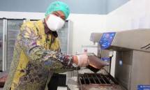 Ini Upaya Kemenperin Dongkrak Potensi Industri Sagu dan Cokelat Artisan