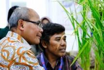 Rice Business Head PT WPI Saronto