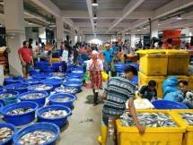 Jangan Khawatir! PT Perikanan Indonesia Bakal Penuhi Ketersediaan Ikan Jelang Hari Raya Idul Fitri 2024