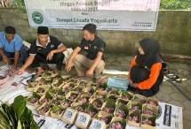 Tebar Hewan Kurban 1446 H: Dompet Dhuafa Yogyakarta Jangkau 15.600 Penerima Manfaat