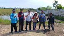 Brigade Pangan di Kapuas Tancap Gas! Tanam Musim Ketiga Serentak Demi Swasembada Nasional
